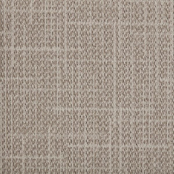 061 Płytki dywanowe Ted jasne