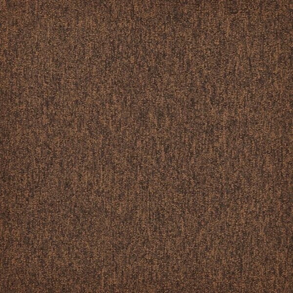 283 Ciemno brązowa płytka Gobi Forward