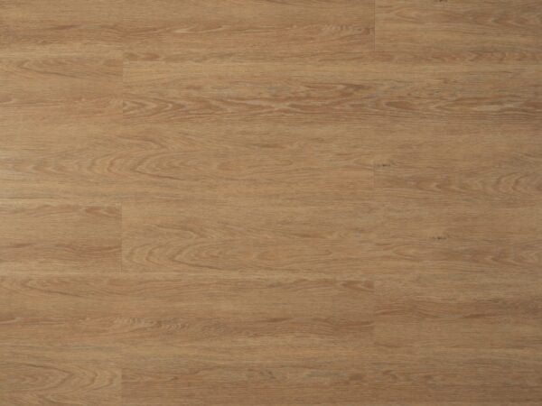 5020 Podłoga drewnopodobna Splendor