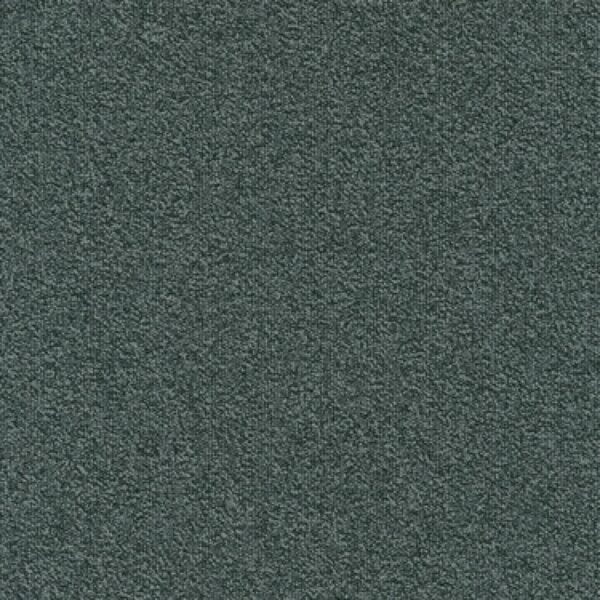 579 Namib Nxtgn typ 579