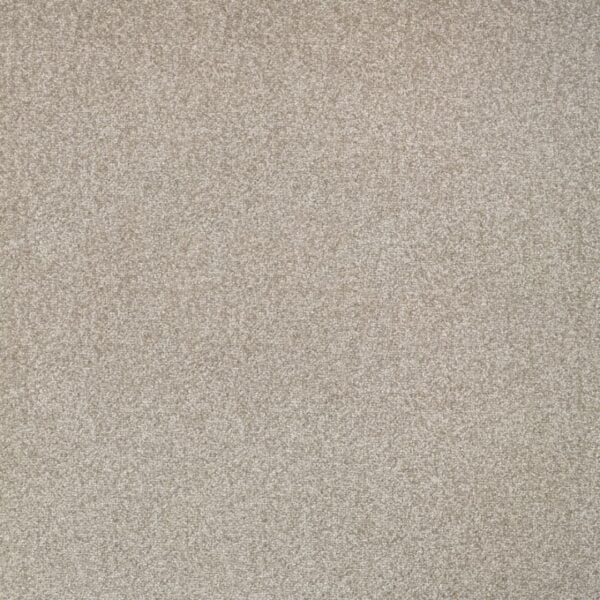 615 Charakterystyczna struktura płytek dywanowych Draft