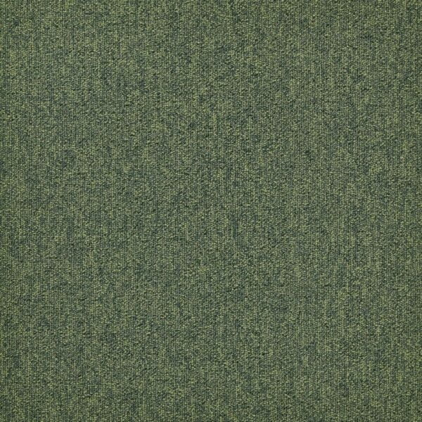 625 Zielona płytka Gobi Forward