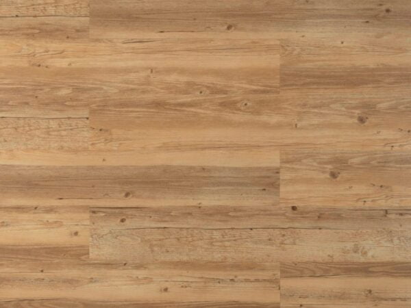 6652 Panele podłogowe Splendor w jasnym kolorze