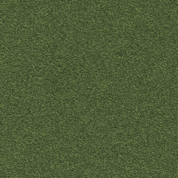 669 Rodzaj dywanu Namib Nxtgn