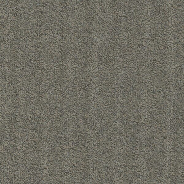 817 Szara płytka dywanowa Namib Nxtgn