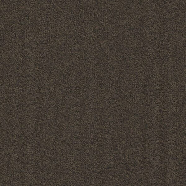 883 Wykładzina firmy Namib Nxtgn typ 883