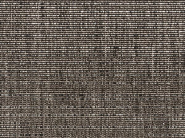 Berberis 6335_80 Berberis 6335_80