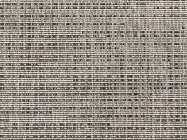 Berberis 6335_92 Berberis 6335_92