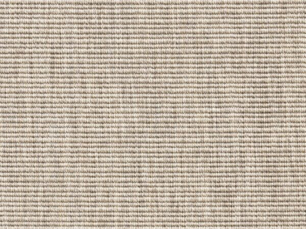 Cissus 6339_68 Cissus 6339_68