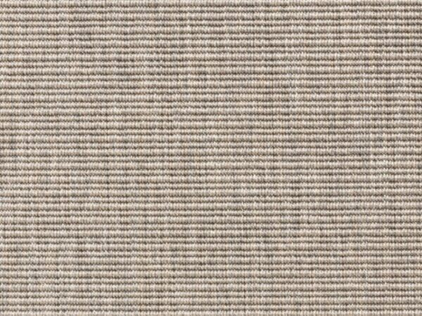 Cissus 6339_78 Cissus 6339_78