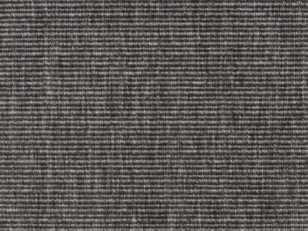 Cissus 6339_98 Cissus 6339_98