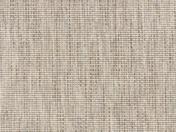 Salvia 6302_68 Salvia 6302_68