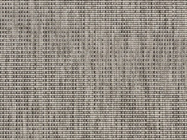 Salvia 6302_692 Salvia 6302_692