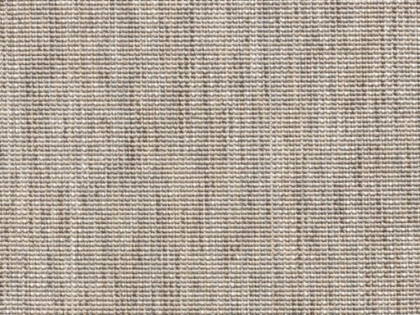 Salvia 6302_78 Salvia 6302_78