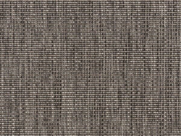 Salvia 6302_80 Salvia 6302_80