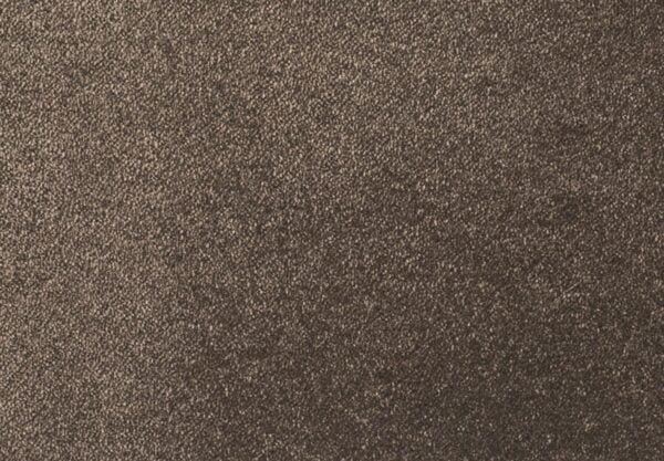 opa200 Wykładzina dywanowa Opal w kolorze ciemnobeżowym