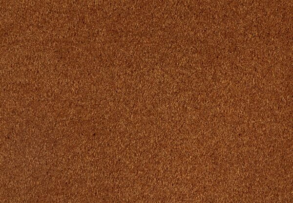 opa321 Wykładzina Opal w salonie, tworząca przytulną atmosferę